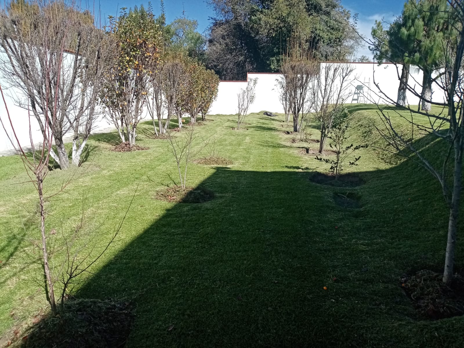 Instalaci��n de ��reas verdes